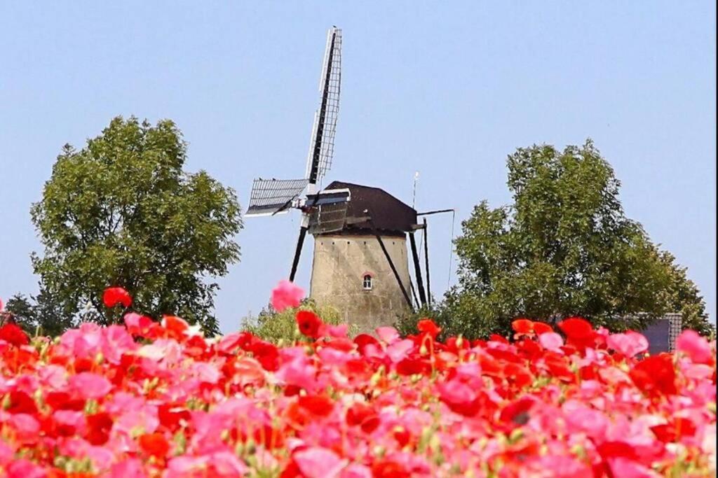 Huisje Vogelenzang Zeeland Sint Annaland Exterior foto