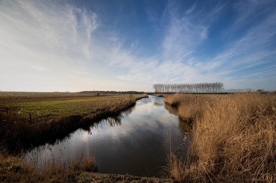 Huisje Vogelenzang Zeeland Sint Annaland Exterior foto