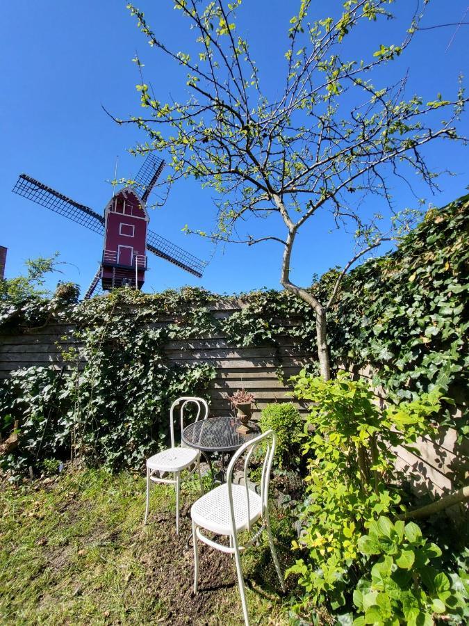 Huisje Vogelenzang Zeeland Sint Annaland Exterior foto